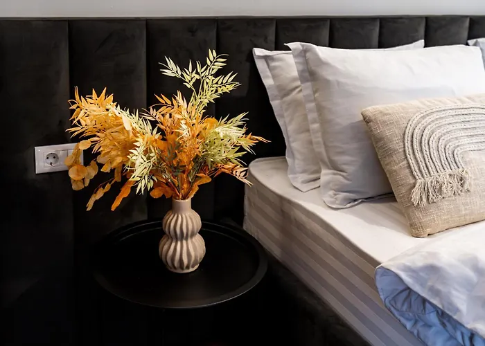 The Black Orchid - Balcony, Near Old Town Bucureşti